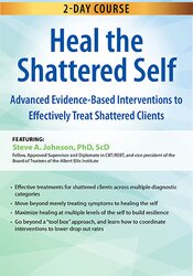 132 - 2-Day Course -Heal the Shattered Self-Advanced Evidence-Based Interventions to Effectively Treat Shattered Clients - Steve A Johnson Available